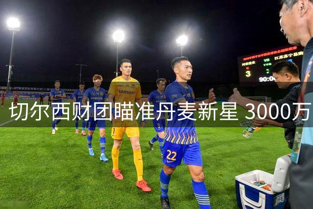 切尔西财团瞄准丹麦新星 3000万欧妖星或先登陆法甲